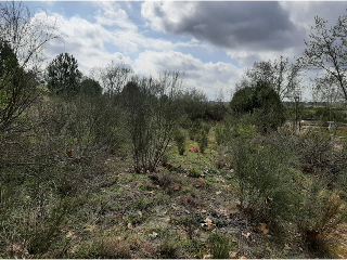 NUS-20 GOLF GUADIANA, MANZANAS C-3.A 18