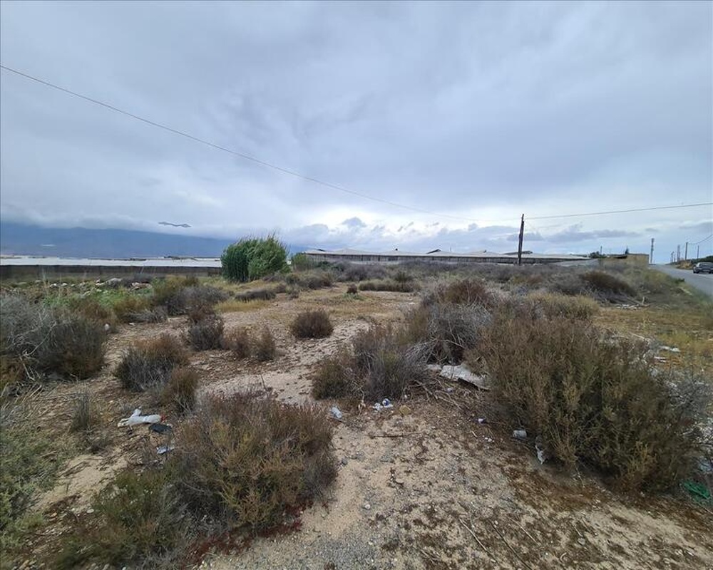 STR. SUT-5-MA ANTERIOR ANCOR-5-MA Cº DEL