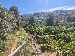 AV. MONTE PEGO, P.PARC, Po.66C 3