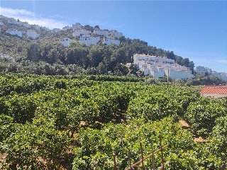 AV. MONTE PEGO, P.PARC, Po.66C 4