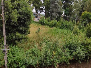 PONTILLON (POLIGONO 74) 16