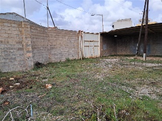SECANET PAQUERA 8