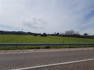 VIRGEN DE GUADALUPE 2