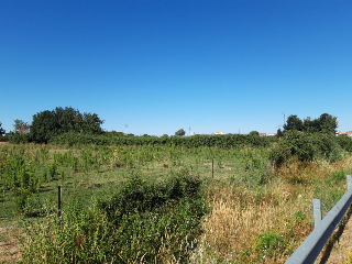 VIRGEN DE GUADALUPE 4
