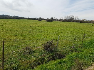 VIRGEN DE GUADALUPE 6