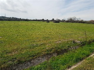 VIRGEN DE GUADALUPE 9