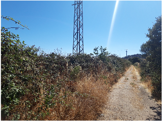 VIRGEN DE GUADALUPE 13