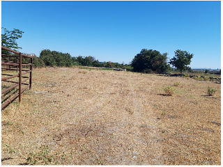 VIRGEN DE GUADALUPE 14