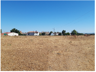 VIRGEN DE GUADALUPE 15