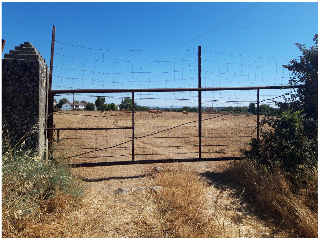 VIRGEN DE GUADALUPE 18