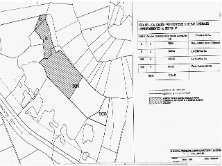 LOS BORRICALES, SECTOR Nº11, POLÍGONO, 3 8