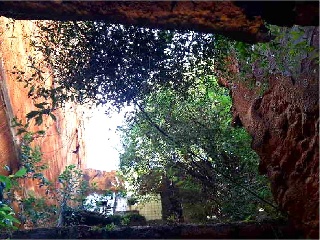 RIBEIRA 5