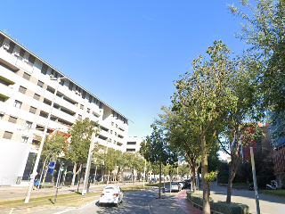 JOSEP MIQUEL QUINTANA 2