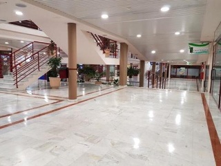 BUENAVISTA 19