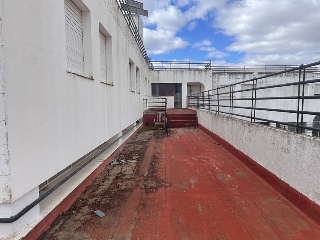 DE CARLOS III. CTRA. C-204 DE MASEGOSO A SACEDÓN KM.79,7 14