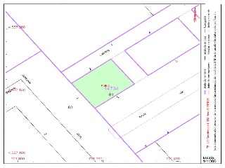 COMUNITAT VALENCIANA 8