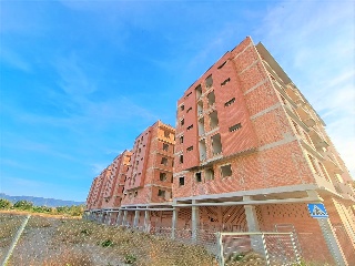 Maestro Cipriano Galea 7