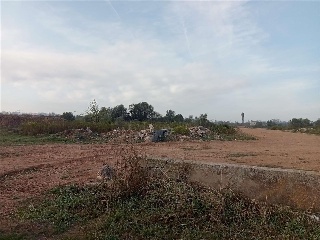 Pp S Gregori Cl H1A 2