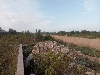 Pp S Gregori Cl H1A 3