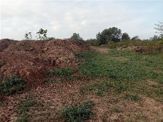 Pp S Gregori Cl H1A 6