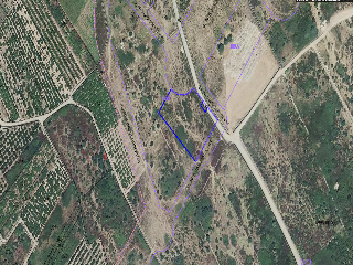 Pp S Gregori Cl H1A 8