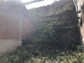 Emilio Gonzalez Lopez 11