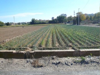 Suelos rústicos en Pt San Esteban - Valencia - 9