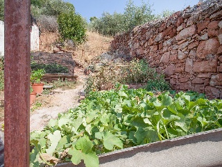 Piso en C/ Pimienta - Orihuela Costa - Alicante 28