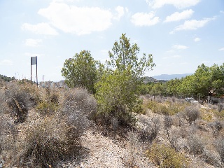 Suelo Urbano consolidado en El Esparragal - Murcia- 33