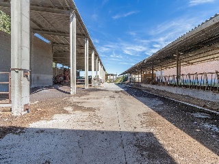 Nave industrial en Pt. Detrás de la Pleta, Torrefarrera (Lleida) 23