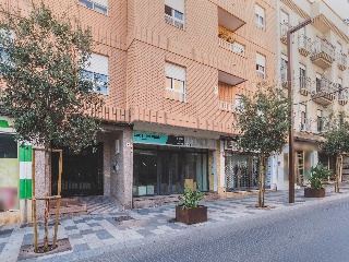 Local en El Ejido, Almería 10