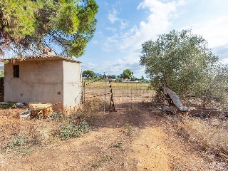 Vivienda sobre finca rústica en Partida Bovalar 7