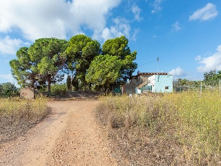 Vivienda sobre finca rústica en Partida Bovalar 8