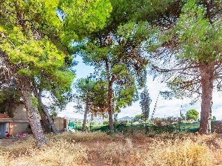Vivienda sobre finca rústica en Partida Bovalar 19
