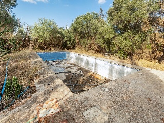 Vivienda sobre finca rústica en Partida Bovalar 21