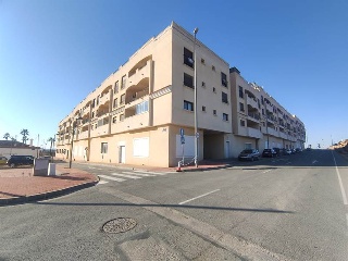 Constitucion 8