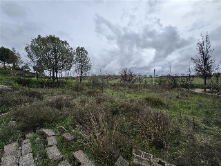 Cuevas De Luna 15