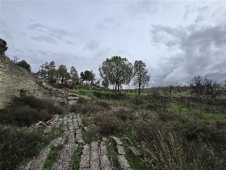 Cuevas De Luna 16