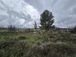 Cuevas De Luna 17