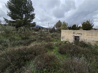 Cuevas De Luna 25
