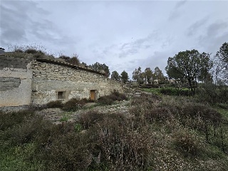 Cuevas De Luna 26