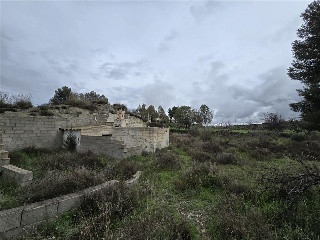 Cuevas De Luna 31