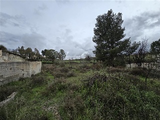 Cuevas De Luna 32