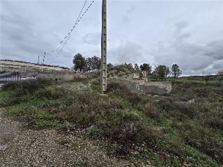 Cuevas De Luna 33