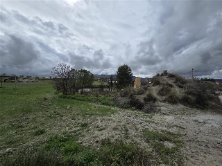 Cuevas De Luna 39
