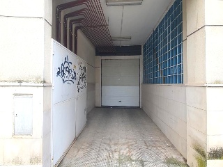 Ancha S Martin 6