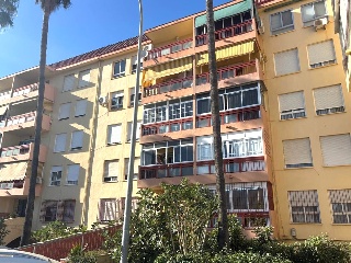 Verdiales 5