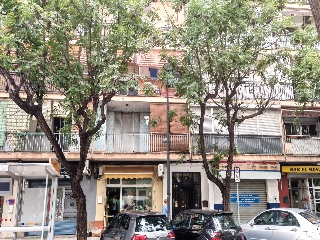 Vell De Torrent 5