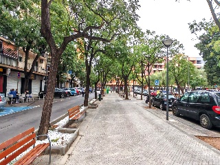 Vell De Torrent 9