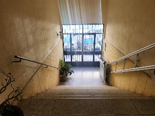 Ricardo Carapeto Zambrano 6